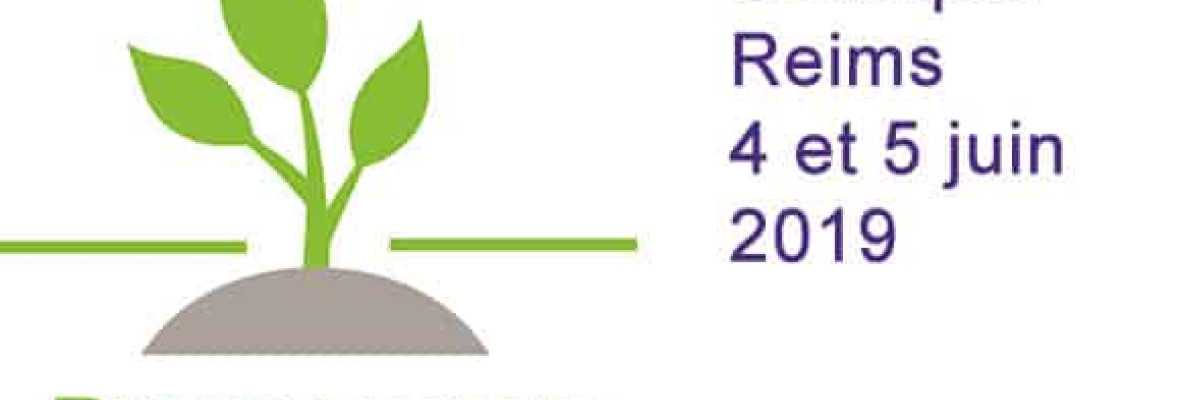 Visuel de la Chaire de Bioéconomie de NEOMA Business School, en collaboration avec l’Irstea et l’URCA, organise le colloque SFER (Société Française d’Economie Rurale) les 4 et 5 juin 2019, à Reims.