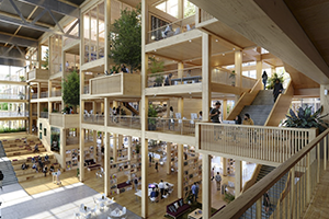 NEOMA-reims-2027-ruche